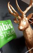 Туры в отель ibis Styles Contres Cheverny