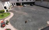 Туры в отель Logis Hotel le Cerf