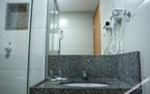 Туры в отель Villa Park Hotel Recife
