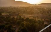 Туры в отель Alila Fort Bishangarh - A Hyatt brand