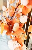 Туры в отель Floral Hotel · Suzhou Sushun hotel