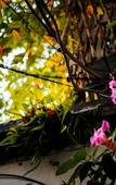 Туры в отель Floral Hotel · Suzhou Sushun hotel
