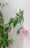 Туры в отель Floral Hotel · Suzhou Sushun hotel