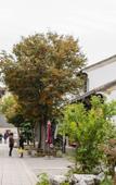 Туры в отель Floral Hotel · Suzhou Sushun hotel