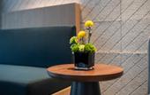 Туры в отель Holiday Inn Express CHANGCHUN JINGYUE by IHG