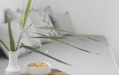 Туры в отель Arco Solium Suites