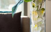 Туры в отель DC Hotel International