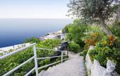 Туры в отель Villa Orleans