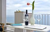 Туры в отель Villa Orleans