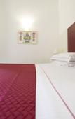 Туры в отель Agatha Cosy Hotel
