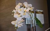Туры в отель Class Hotel Varginha