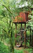 Туры в отель Selvaje lodge Iguazu