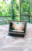 Туры в отель Selvaje lodge Iguazu
