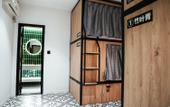 Туры в отель POSHPACKER Local Tea Hostel