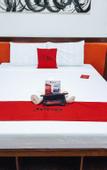Туры в отель RedDoorz @ Caimito Drive Dampas