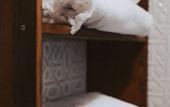 Туры в отель Misgibi Otel