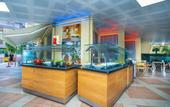 Туры в отель Kleopatra Ikiz Hotel