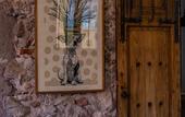 Туры в отель Casa 1810 Parque Hotel Boutique
