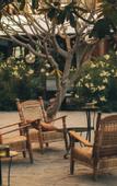 Туры в отель Baja Club Hotel, La Paz, Baja California Sur, a Member of Design Hotels