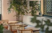 Туры в отель Baja Club Hotel, La Paz, Baja California Sur, a Member of Design Hotels