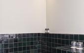Туры в отель Baja Club Hotel, La Paz, Baja California Sur, a Member of Design Hotels