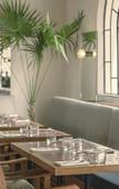 Туры в отель Baja Club Hotel, La Paz, Baja California Sur, a Member of Design Hotels