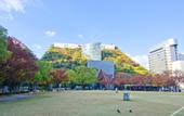 Туры в отель Randor Residential Hotel Fukuoka Annex