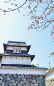 Туры в отель Randor Residential Hotel Fukuoka Annex