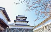 Туры в отель Randor Residential Hotel Fukuoka Annex