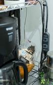 Туры в отель Polaris 101