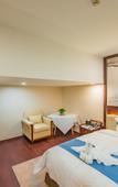 Туры в отель Baiman Art Garden Hotel (Jinan West Railway Station Exhibition Center Branch)