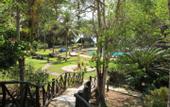 Туры в отель Papillon Lagoon Reef Hotel