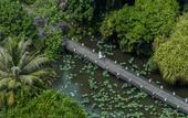 Туры в отель Anantara Mai Khao Phuket Villas