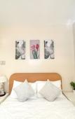 Туры в отель Casa Bicolandia Suites