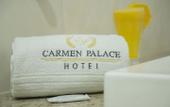 Туры в отель Carmen Palace Hotel
