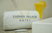 Туры в отель Carmen Palace Hotel