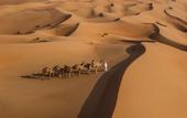 Туры в отель Qasr Al Sarab Desert Resort by Anantara