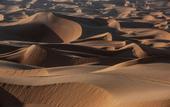 Туры в отель Qasr Al Sarab Desert Resort by Anantara
