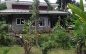 Туры в отель Koh Chang Grand Orchid