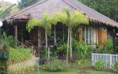 Туры в отель Koh Chang Grand Orchid