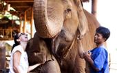 Туры в отель Anantara Golden Triangle Elephant Camp & Resort