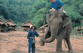 Туры в отель Anantara Golden Triangle Elephant Camp & Resort