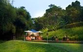 Туры в отель Anantara Golden Triangle Elephant Camp & Resort