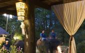Туры в отель Anantara Golden Triangle Elephant Camp & Resort