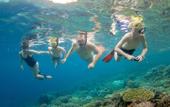 Туры в отель Meridian Adventure Marina Club & Resort