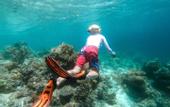 Туры в отель Meridian Adventure Marina Club & Resort