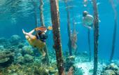 Туры в отель Meridian Adventure Marina Club & Resort