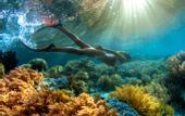 Туры в отель Meridian Adventure Marina Club & Resort