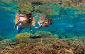 Туры в отель Meridian Adventure Marina Club & Resort