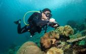 Туры в отель Meridian Adventure Marina Club & Resort